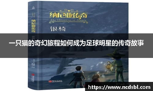 一只猫的奇幻旅程如何成为足球明星的传奇故事